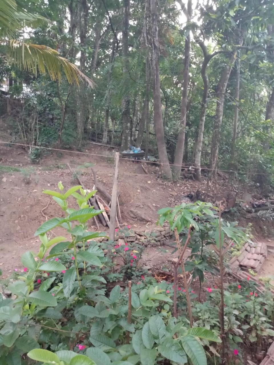 Damsen Homestay เอลลา ภายนอก รูปภาพ