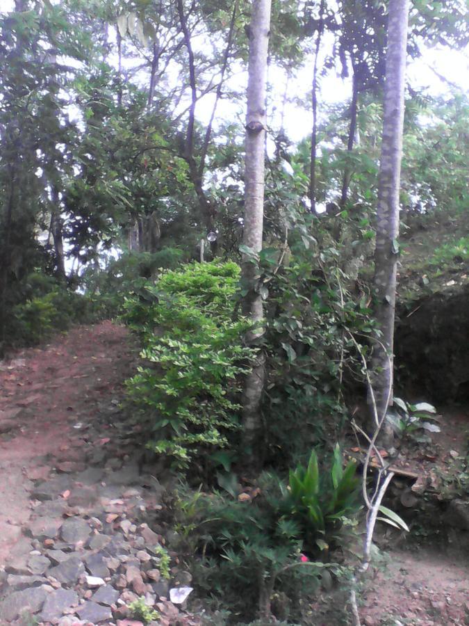 Damsen Homestay เอลลา ภายนอก รูปภาพ