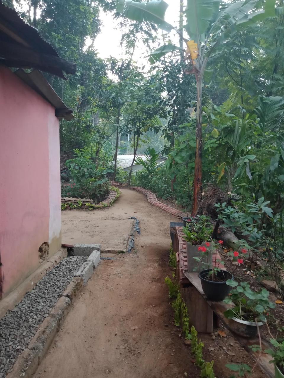 Damsen Homestay เอลลา ภายนอก รูปภาพ