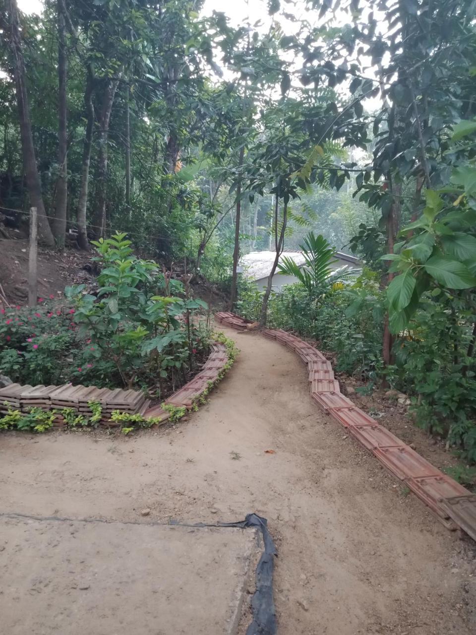 Damsen Homestay เอลลา ภายนอก รูปภาพ