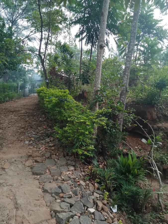 Damsen Homestay เอลลา ภายนอก รูปภาพ
