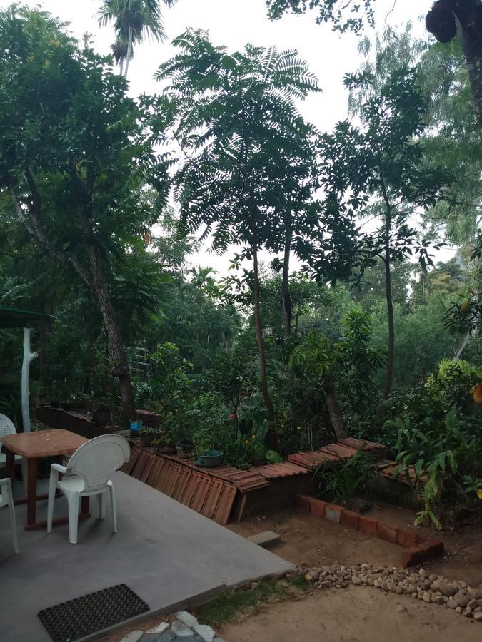 Damsen Homestay เอลลา ภายนอก รูปภาพ