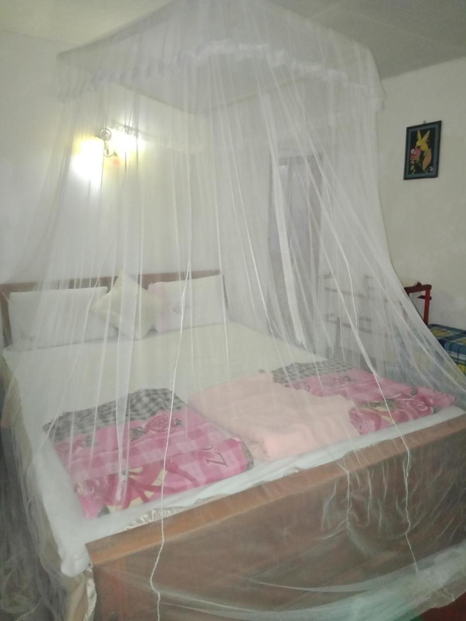 Damsen Homestay เอลลา ภายนอก รูปภาพ