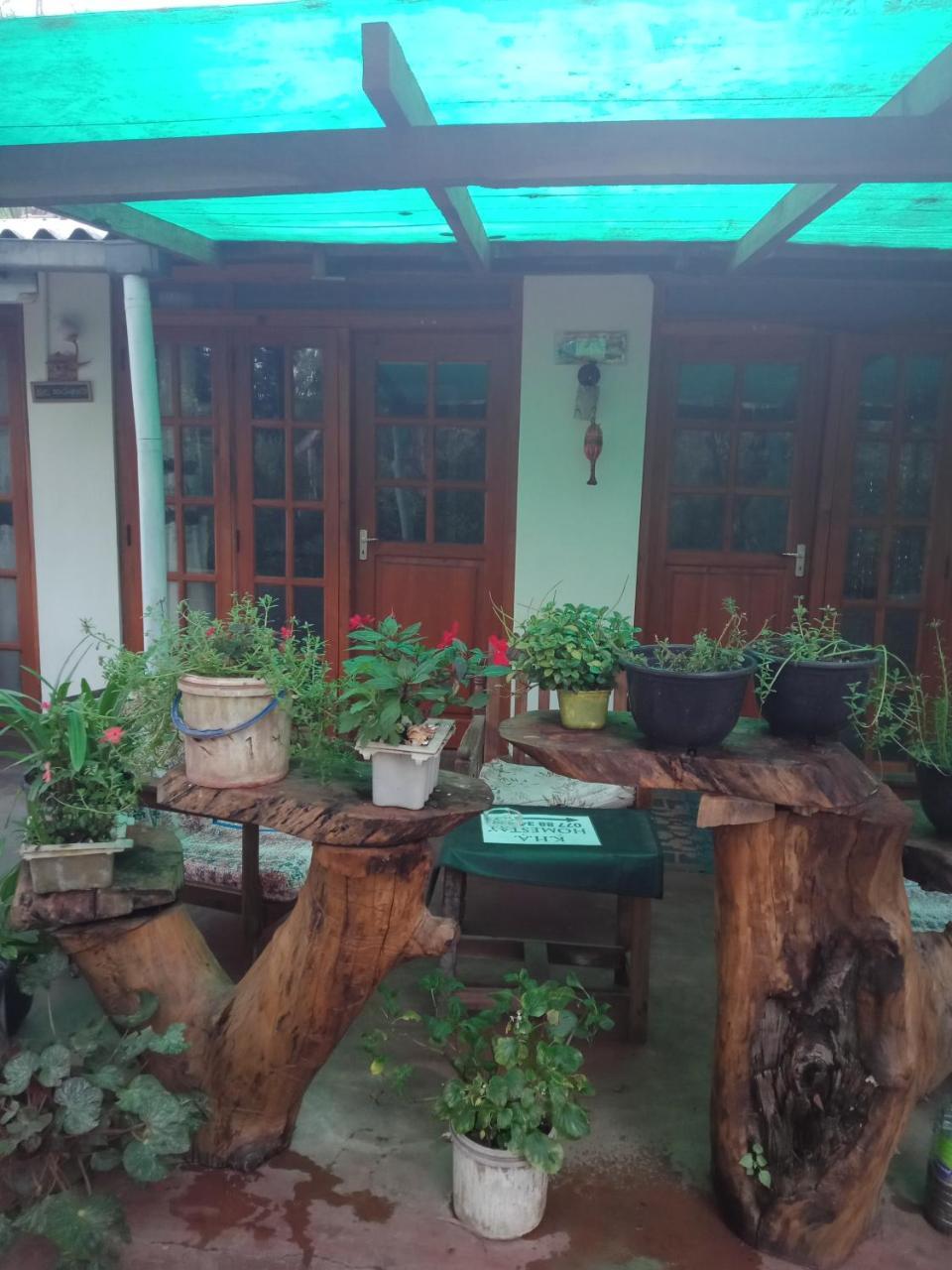Damsen Homestay เอลลา ภายนอก รูปภาพ